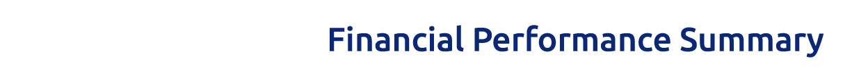 Financial Performance Summary