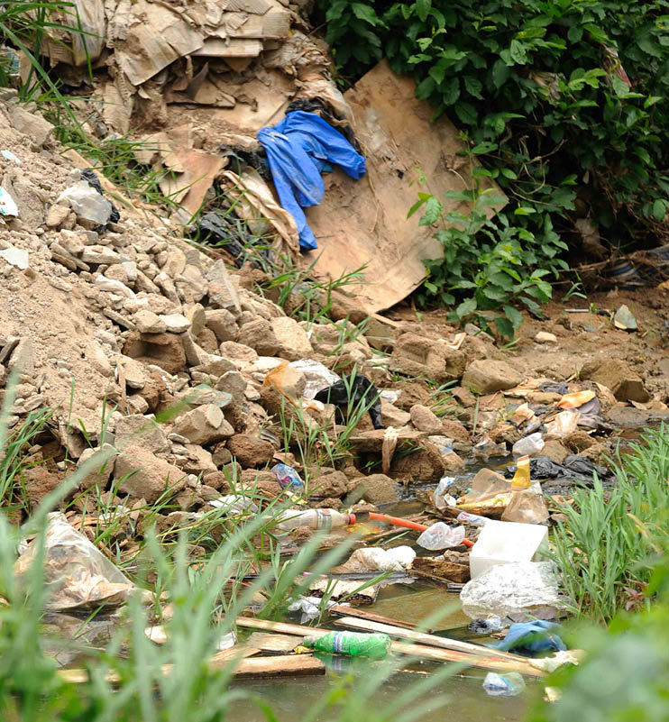 The research project aims to study the relationship between meteorological variables, socio-economic, environmental and socio-sanitary vulnerability factors and the transmission of malaria and schistosomiasis in orderto develop appropriate strategies and tools for community resilience   Stagnant water and waste products along the roadside in Korhogo 